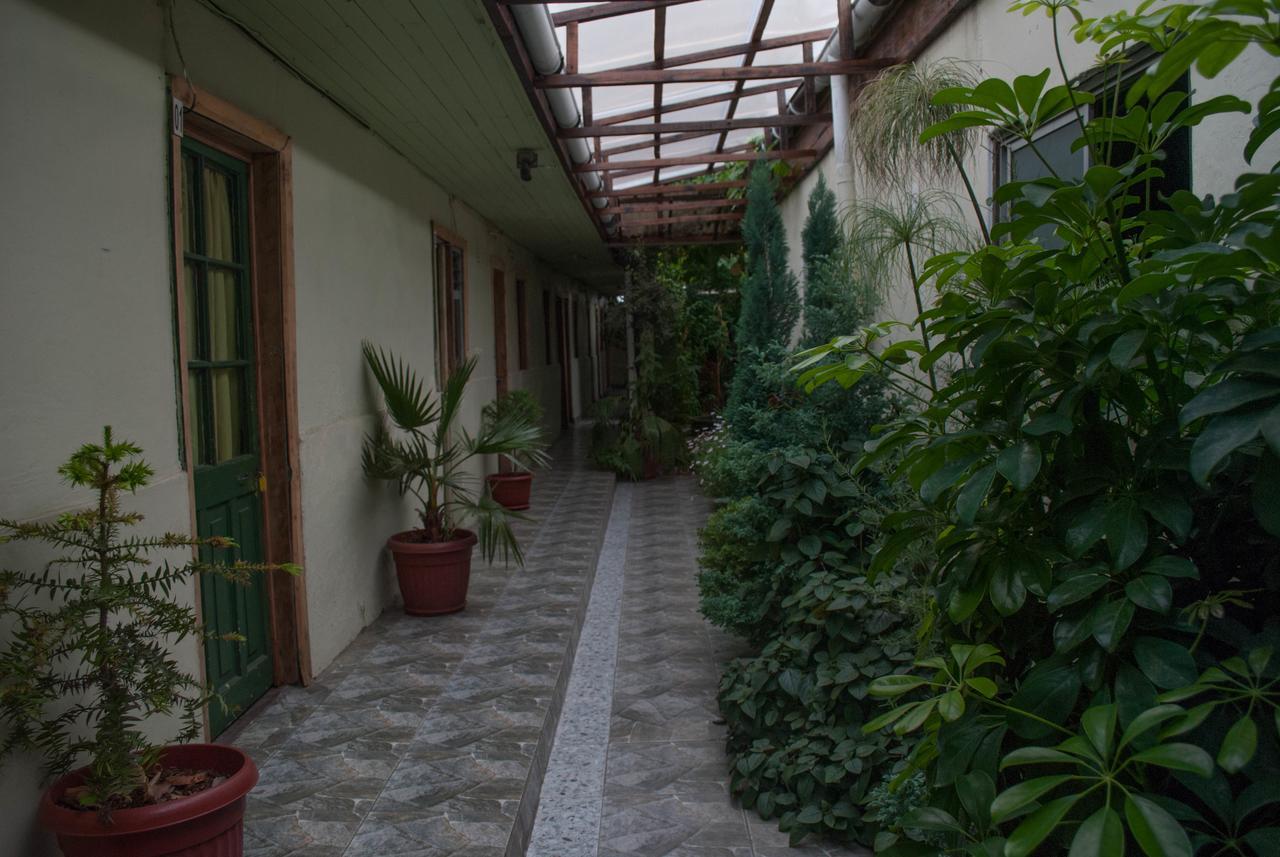 Hostel 1760 Talca  Ngoại thất bức ảnh